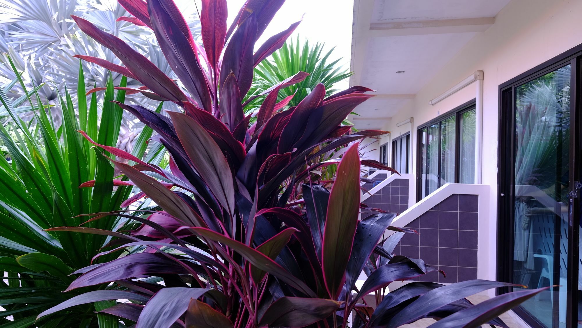 Samui Guest House Lamai Beach  Exterior foto